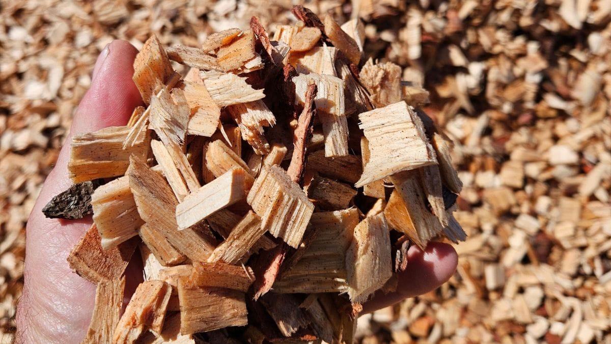 Greenhill Energy will use wood waste as fuel after Monarto sawmill deal