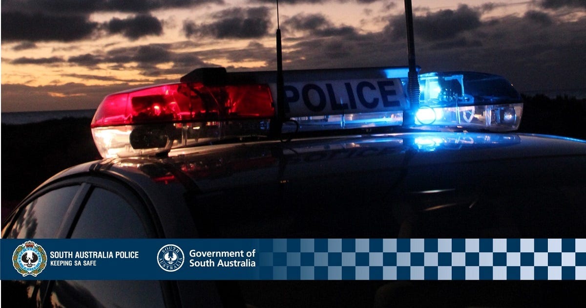 Mannum Road reopens after serious crash