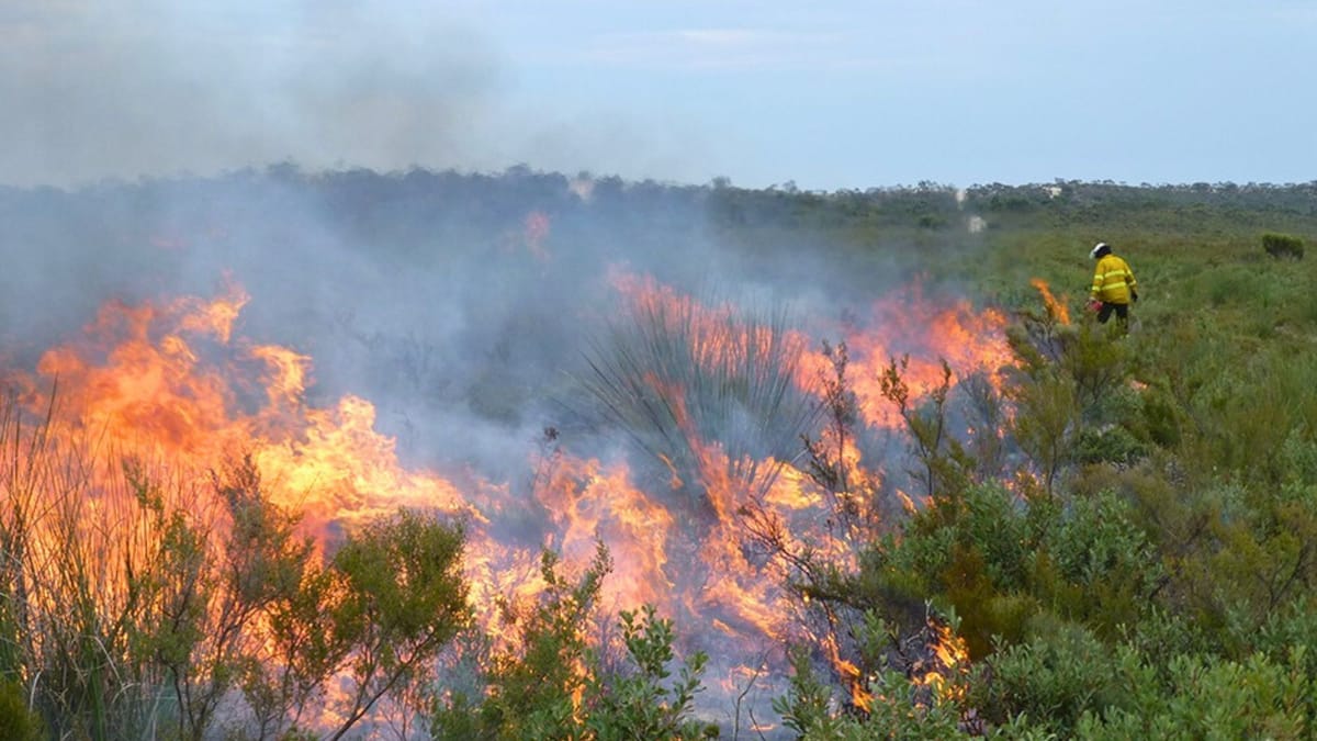 Prescribed burn planned at Monarto South on Tuesday