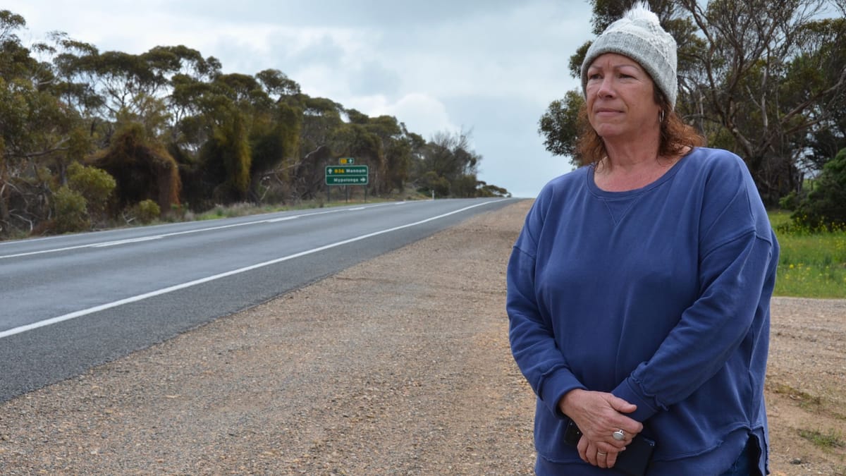 ‘I fear for my life’: Mannum Road speed limit is unsafe, resident says