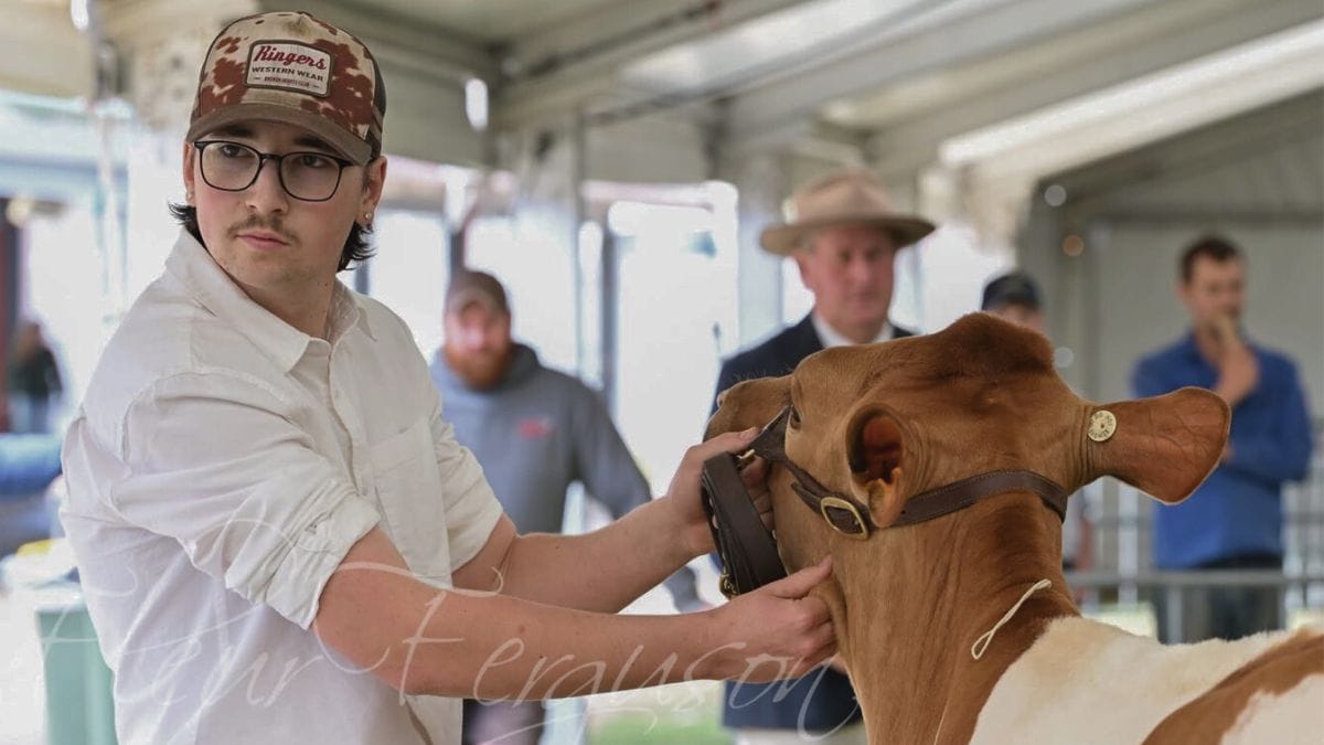 Young Murray Bridge man finishes second in national dairy parade