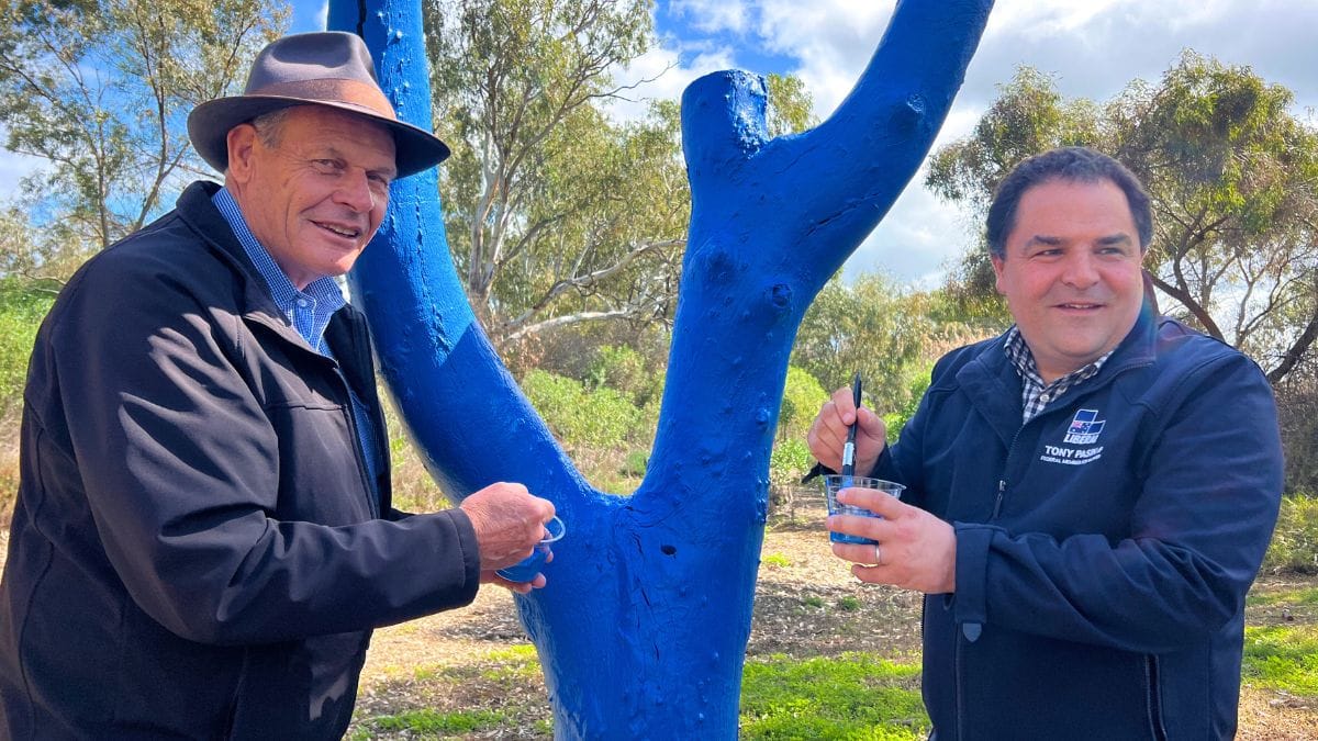 Blue tree painted at Avoca Dell Reserve