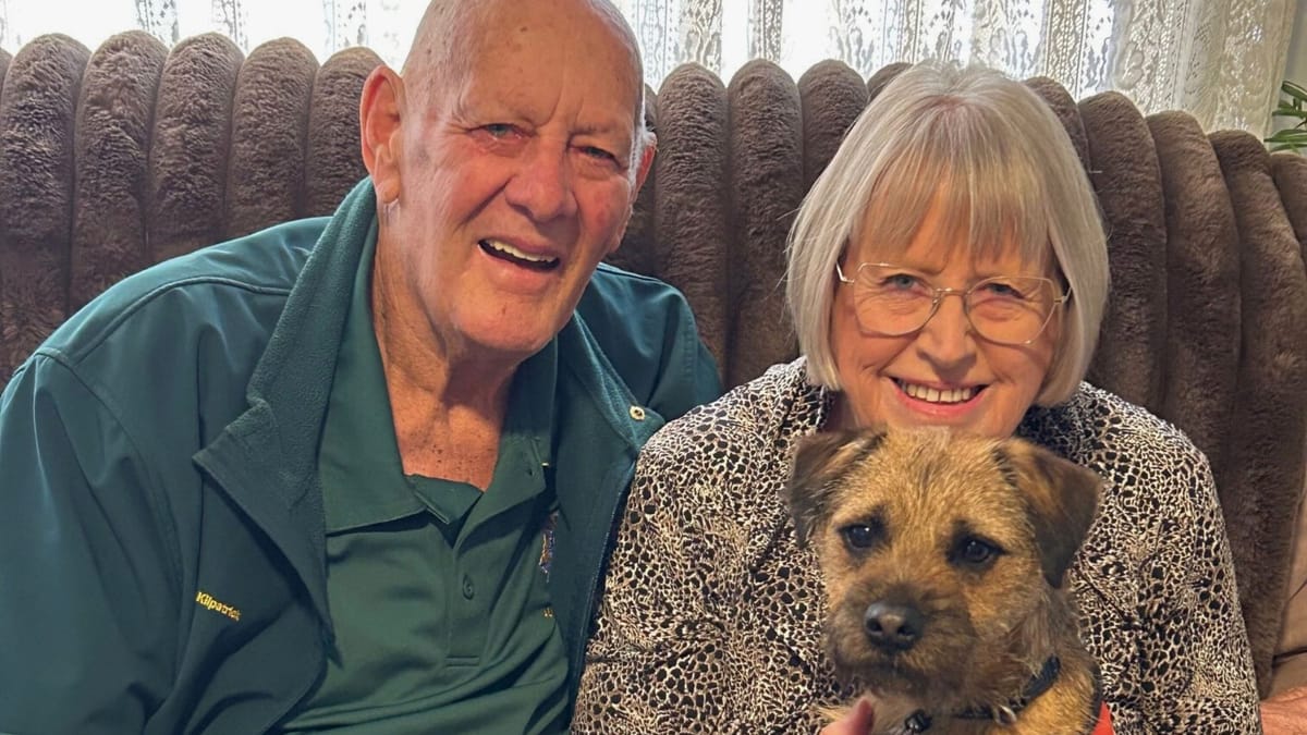 For little hearing assistance dog Ollie, no task is too big