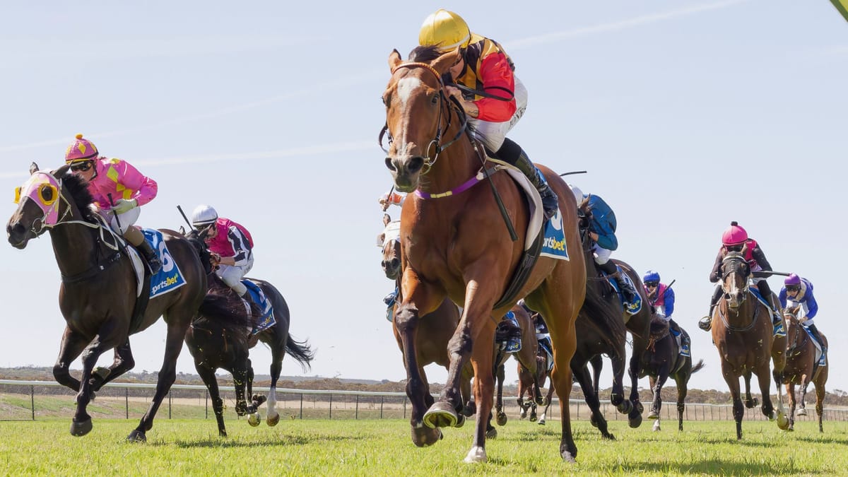 Sports reports: Locals win at Murray Bridge family fun day