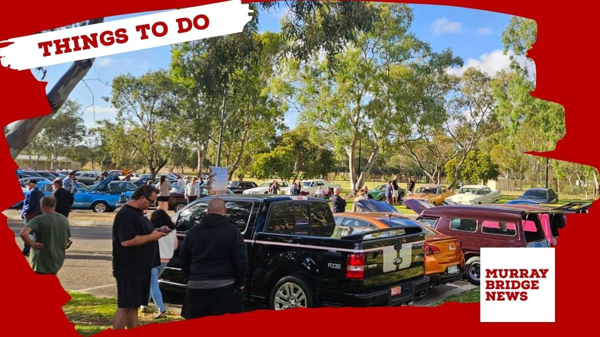 Things to do in the Murraylands: January 30-February 5, 2026