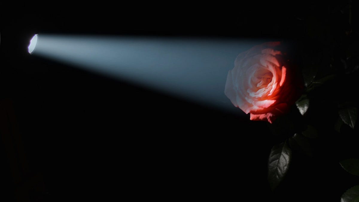 Life Through the Lens: Light and love eliminate darkness