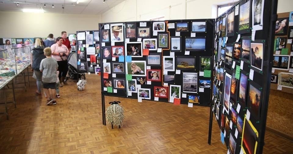 Callington Show competition invites us to reflect on 2020