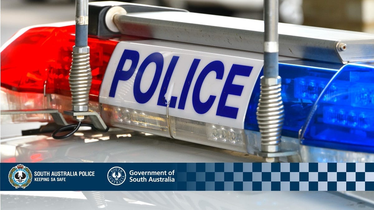 Police investigate car theft, arson, business break-ins