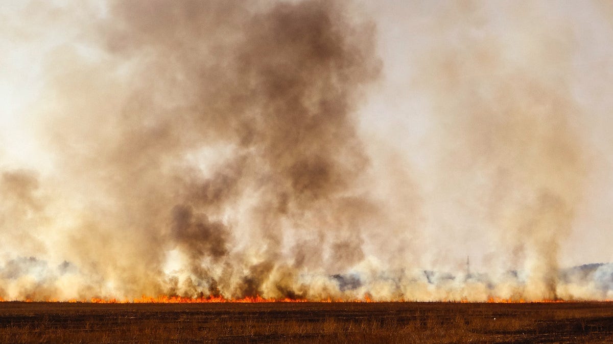 Burdett man reported for burning off during fire danger season