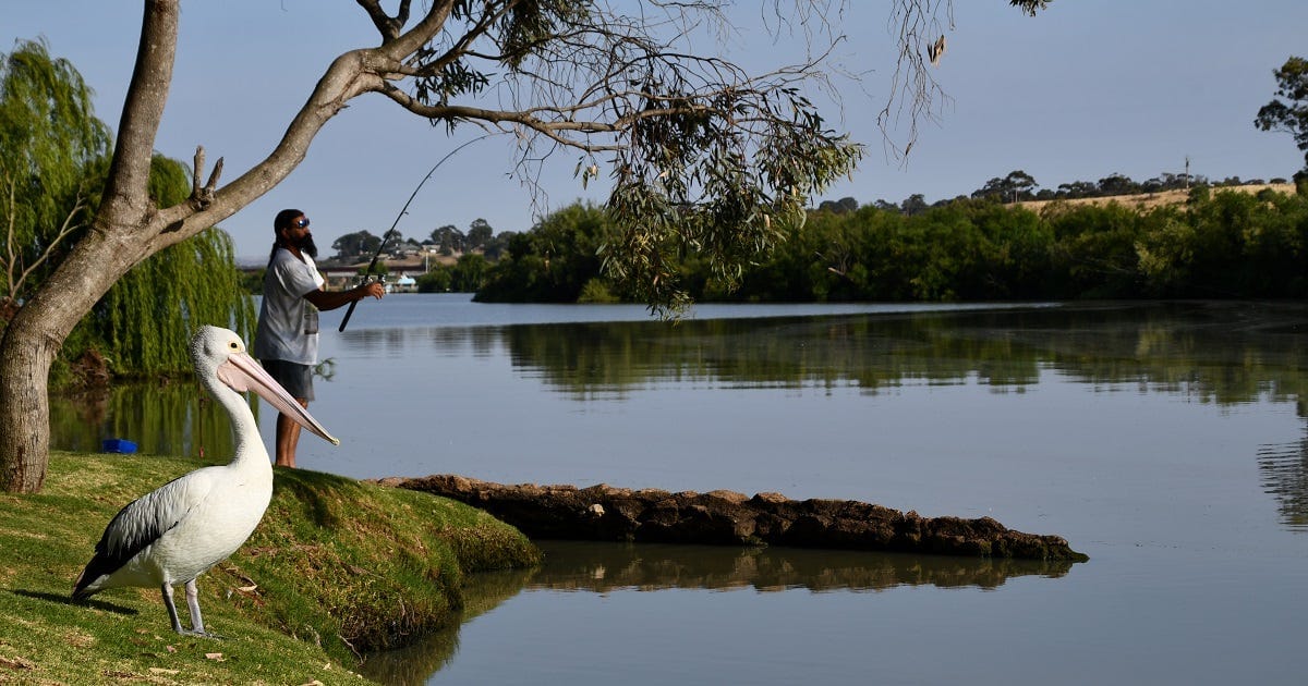 Toora, Swanport proposed as riverfront recreation hubs