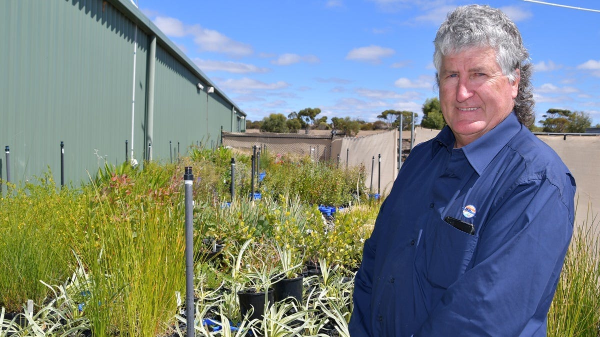 Next Murray Bridge tree giveaway will be four times bigger