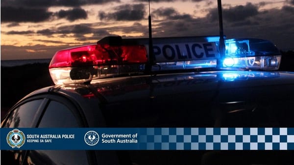 Car thieves run down couple at Cooke Plains