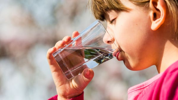 Federal government pours $2.4m into Wellington East water project