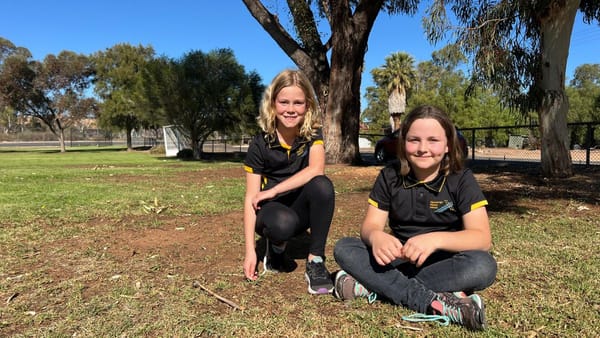 Community grant will help Mypolonga Primary School get their swings back