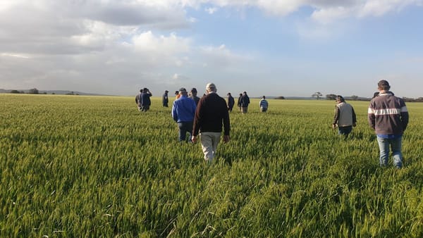 Funding open for sustainable ag projects across the region