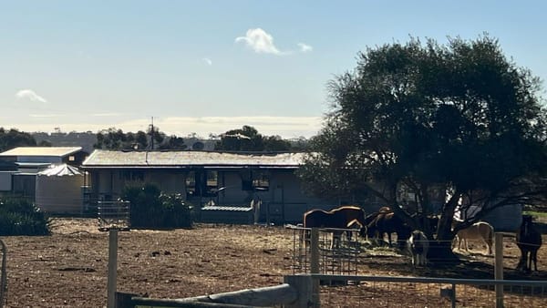 Fire destroys house at Monarto Horse Rehabilitation Centre