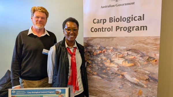 Carp virus is still on the agenda, DAFF says