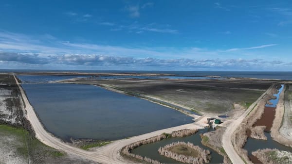 Popular wetlands reopen after $7.6 million upgrades complete