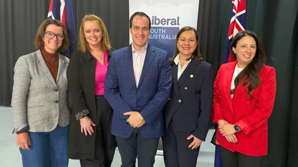 Robe business owner will aim to take back Mackillop for the Liberal Party