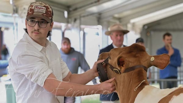 Young Murray Bridge man finishes second in national dairy parade