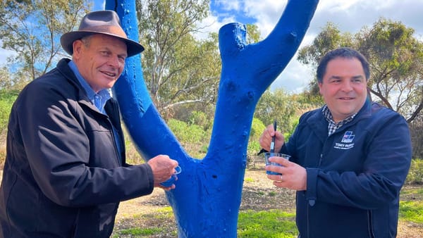 Blue tree painted at Avoca Dell Reserve