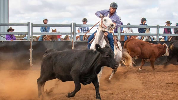Campdrafters say goodbye to Tailem Bend, hello to Coonalpyn