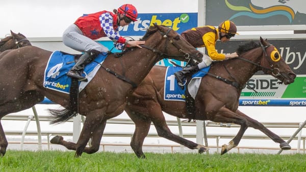 Sports reports: Murray Bridge trainers win at races across the state