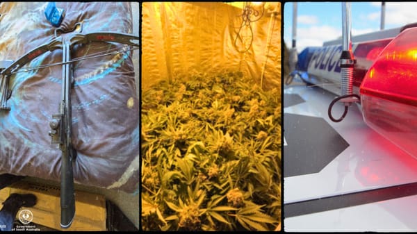 Police raids at Mannum uncover drugs, weapons