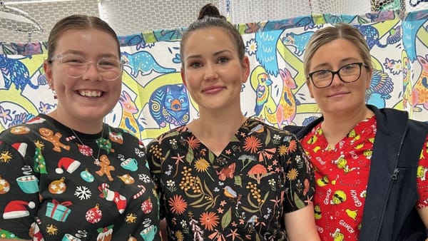 Shingle bells ring warning on effects of painful red rash