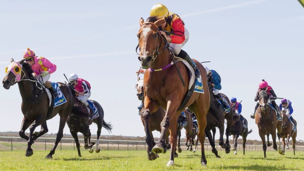 Sports reports: Locals win at Murray Bridge family fun day