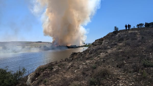 Fire burning near Murray Bridge