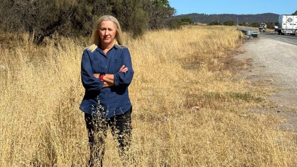 Complaint filed about smear campaign against independent Airlie Keen