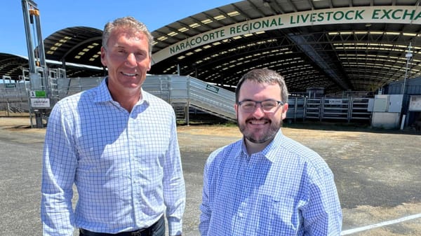 One Nation’s Jason Virgo wins in MacKillop