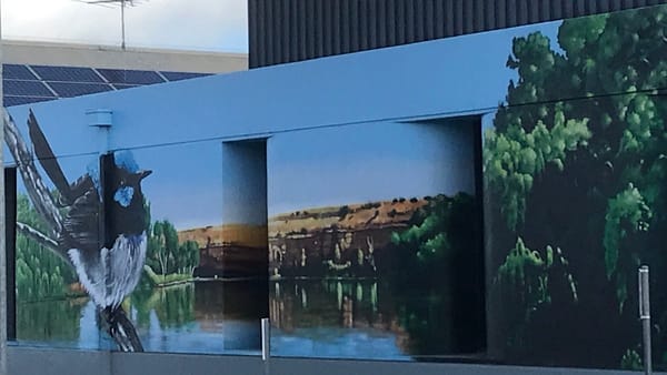 There's more public art in Murray Bridge than you might think