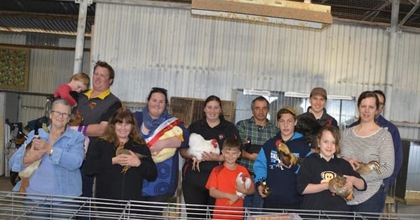 Stolen historical records cannot be replaced, poultry and pigeon society says