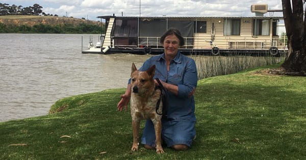 New Basin Authority office lures bureaucrats closer to River Murray