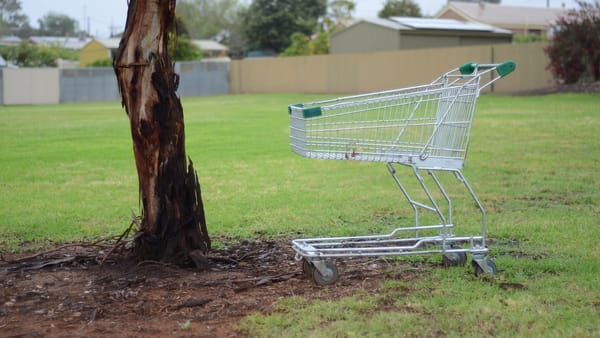 Shopping trolley solution is in sight