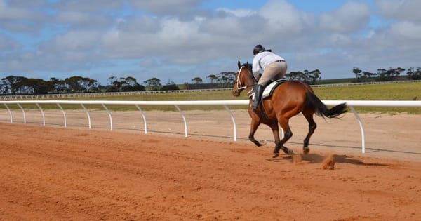Racing club's $500,000 sand training track will draw more trainers to Gifford Hill