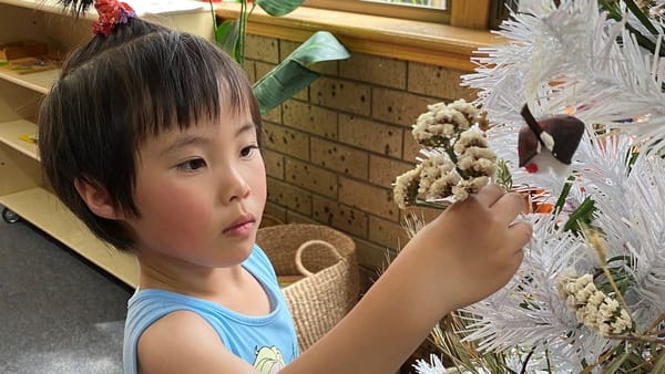 Christmas tree challenge brings out children's creativity