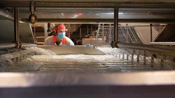 Beston CEO upbeat despite $21.9 million loss