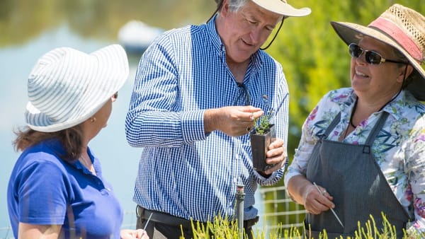 Help the environment – plant a tree at Rocky Gully