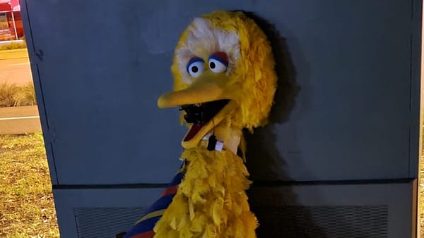 One of the alleged Big Bird bandits is from Murray Bridge