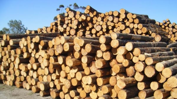 K&S Industries plans $4.5 million sawmill in the Murraylands