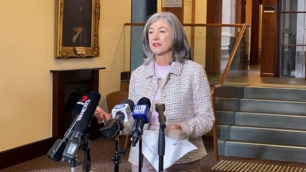 Mosquito-borne disease risk will be ‘10 times higher’ this summer