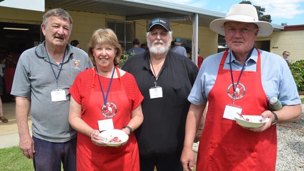 Wellington Strawberry Fete returns: ‘The town has never looked so good’
