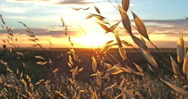 Coorong council rules out any drastic response to 'climate variability'