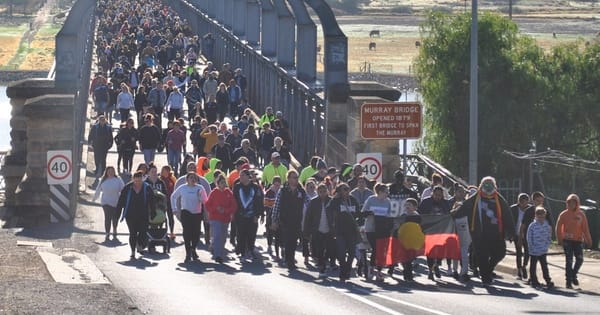 What's on this week: November 6-12, 2020