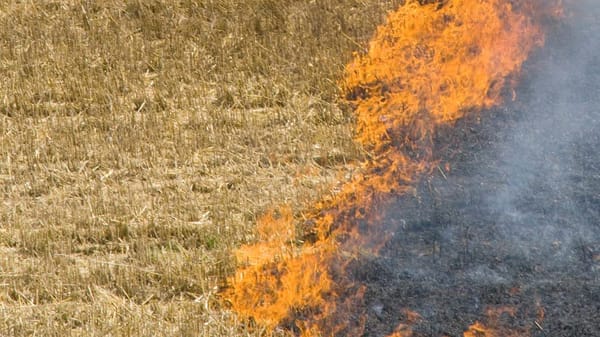 Police news: Murray Bridge woman charged with causing a bushfire