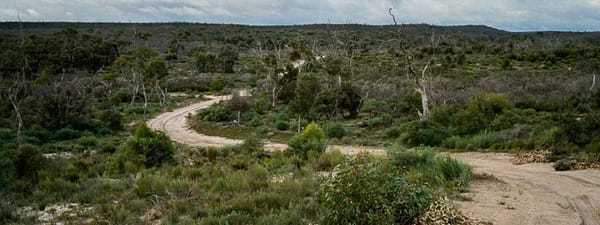 Prescribed burn planned at Ngarkat