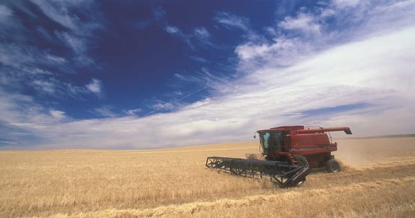 GM crops debate begins in Murray Bridge
